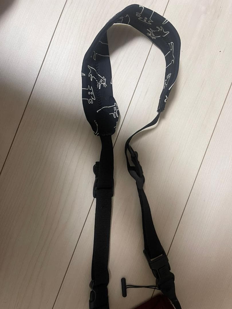 【美品】デジタル一眼レフカメラ D5500 ダブルズームキット［レッド］