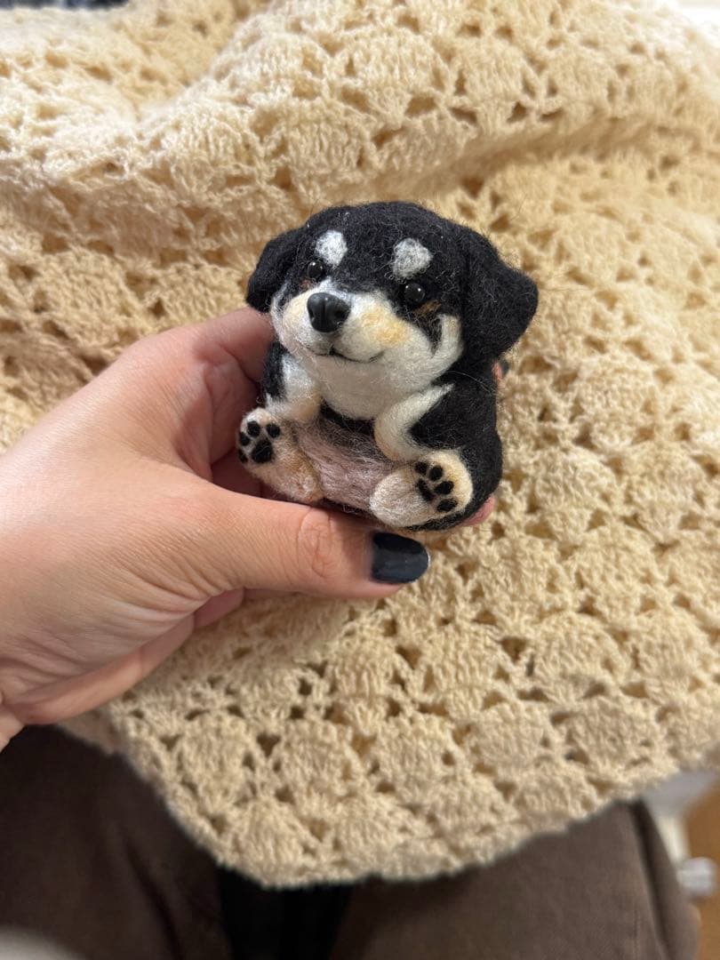 ono様　ご確認用　まんまるあにまるず