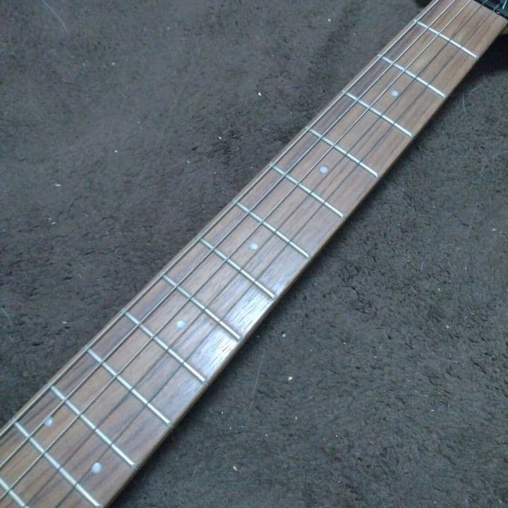 FERNANDES フェルナンデス エレキギター 弦楽器