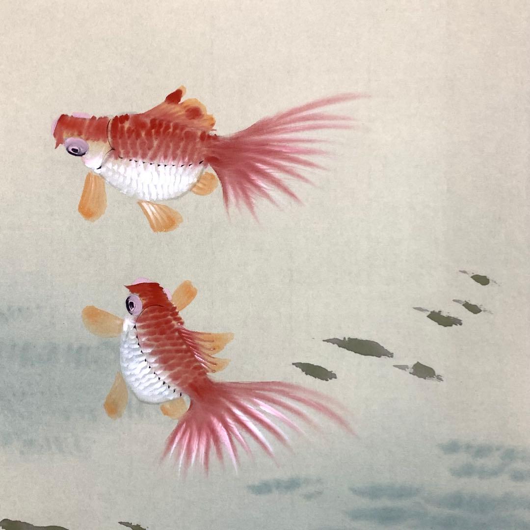 掛軸 千里 金魚 紙箱 出目金 1-33