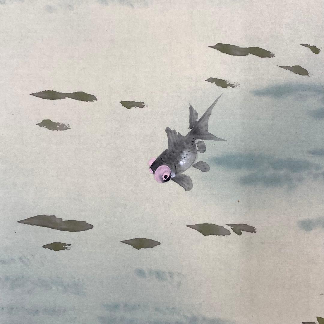 掛軸 千里 金魚 紙箱 出目金 1-33