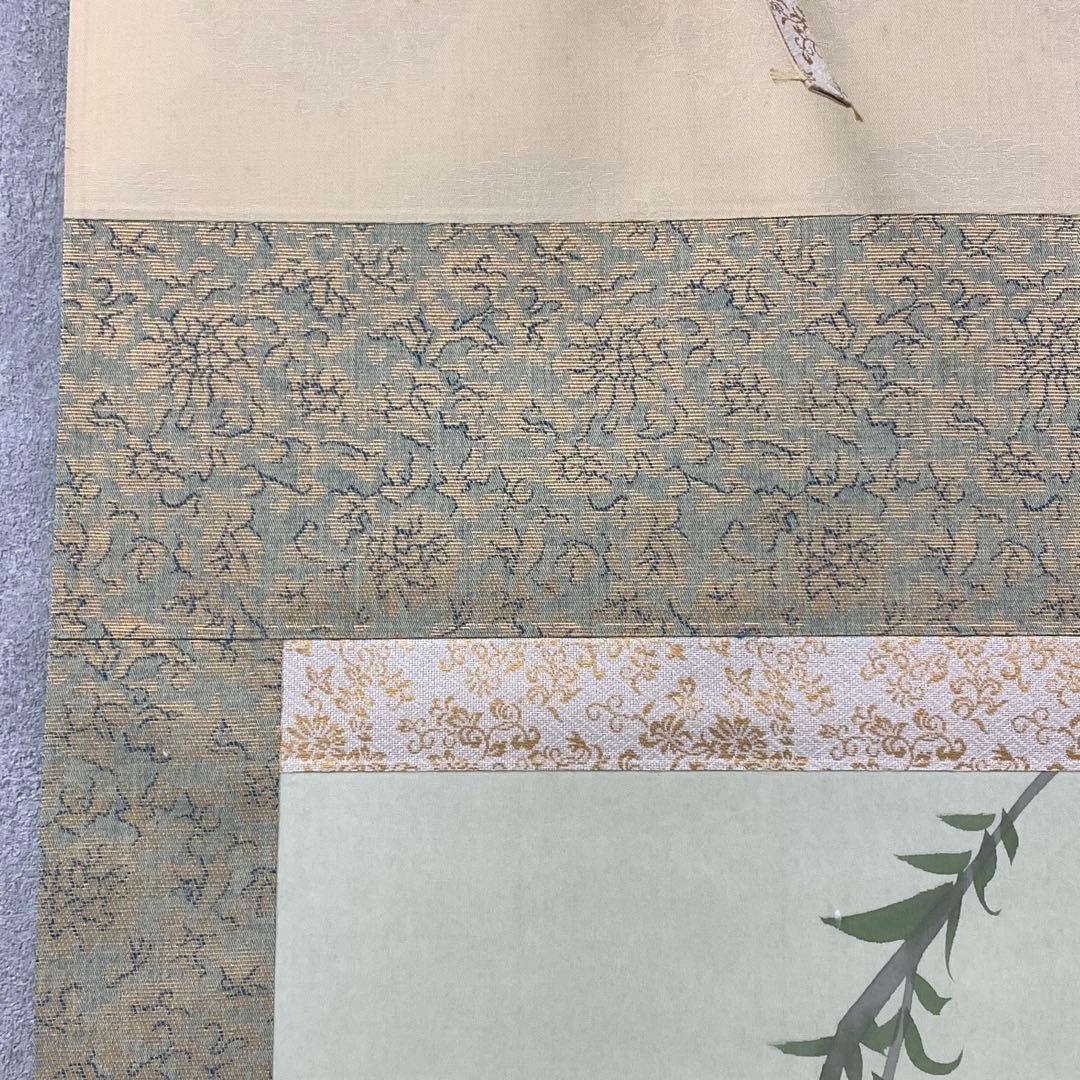 掛軸 千里 金魚 紙箱 出目金 1-33