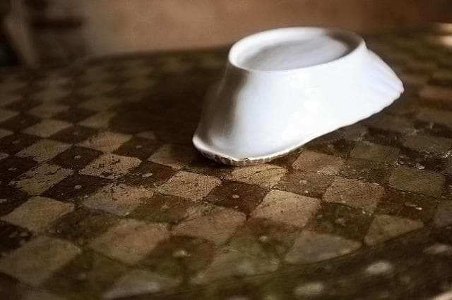 19世紀 金の貝と大きなラヴィエb パリ窯 プレート シェル アンティーク