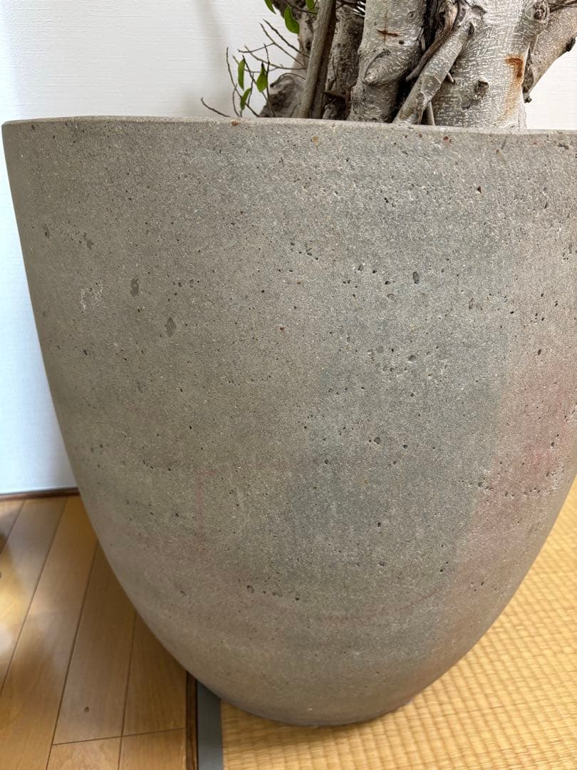 【チイママ】12/14まで限定　SOLSO  ソルソホーム