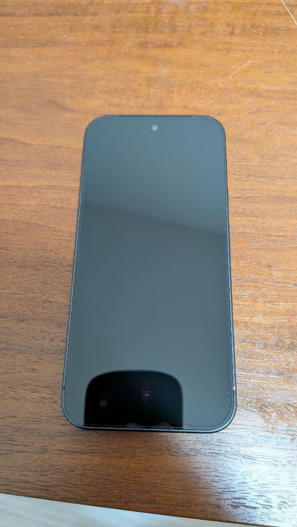 Google Pixel 9 本体 (128GB/中古品)