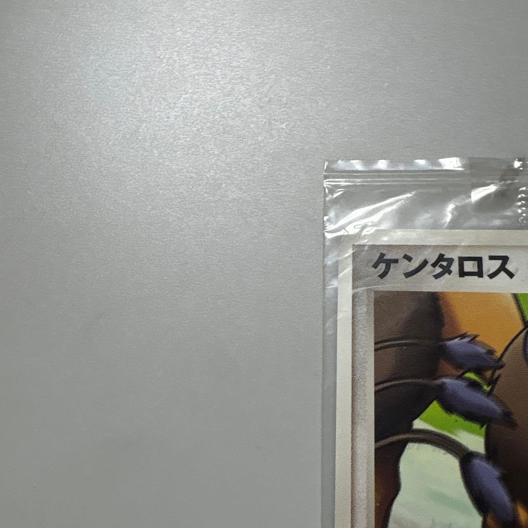 ポケパーク　ケンタロス