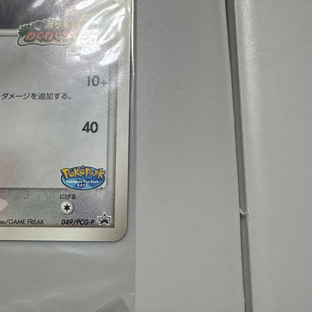 ポケパーク　ケンタロス