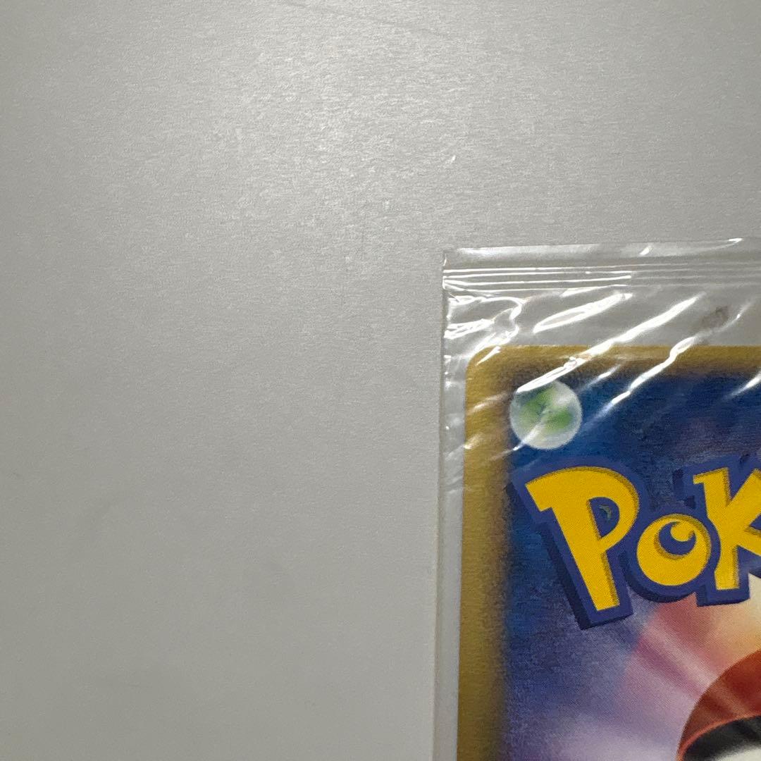 ポケパーク　ケンタロス