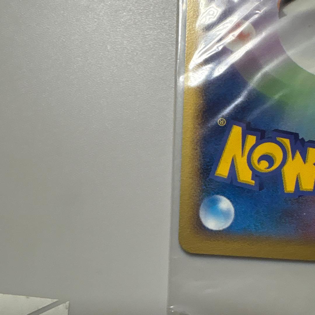 ポケパーク　ケンタロス