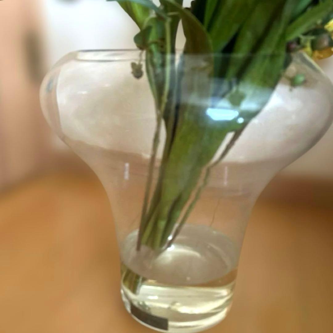 EMILIO ROBBA￼／エミリオロバ 黄色のチューリップ