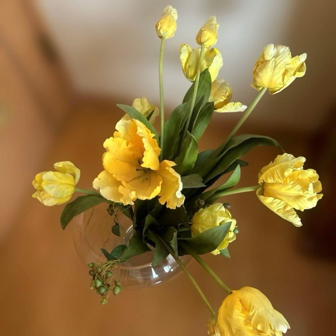 EMILIO ROBBA￼／エミリオロバ 黄色のチューリップ