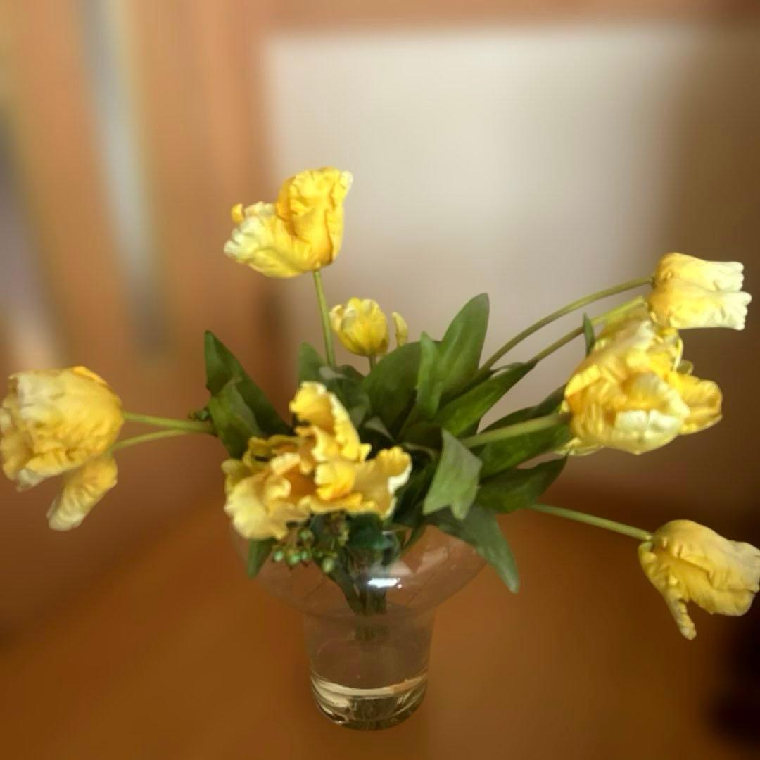 EMILIO ROBBA￼／エミリオロバ 黄色のチューリップ