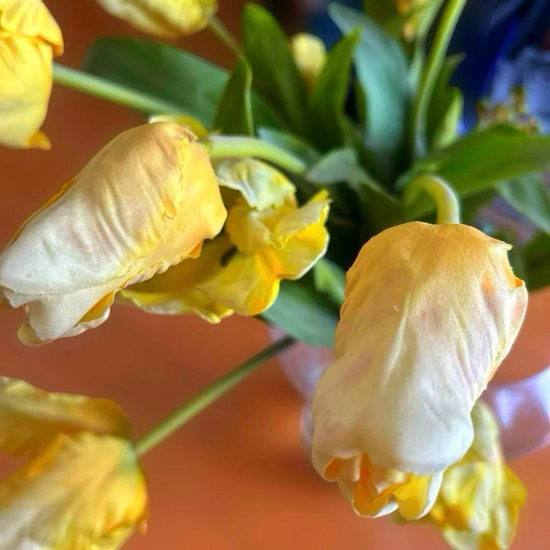 EMILIO ROBBA￼／エミリオロバ 黄色のチューリップ