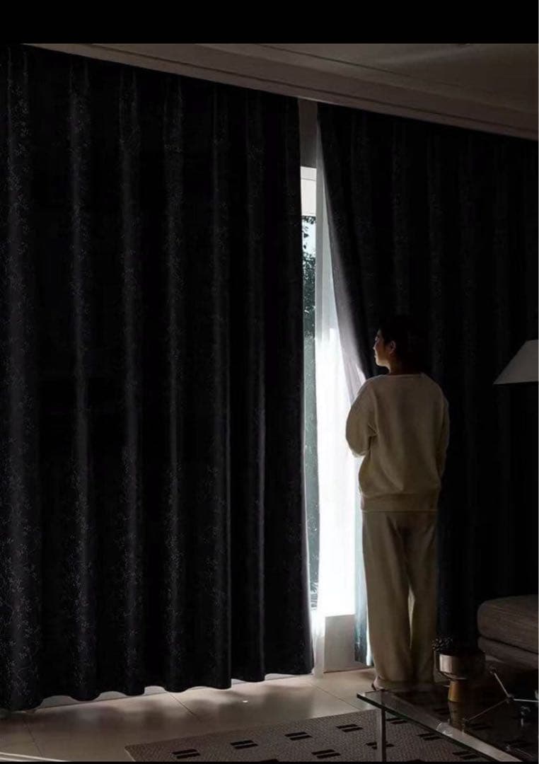 99％遮光】藤蔓刺繍 ナノ完全遮光カーテン 2枚／100cm×200cm｜洗濯可