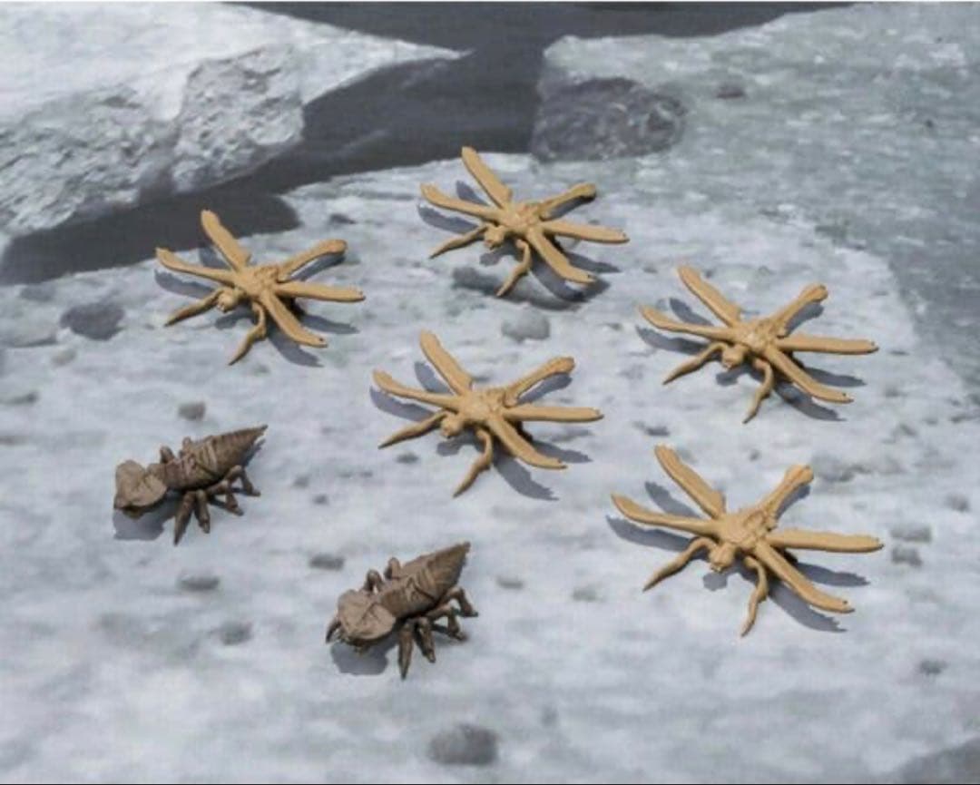 S.H.MonsterArts メガギラス エボリューションセット