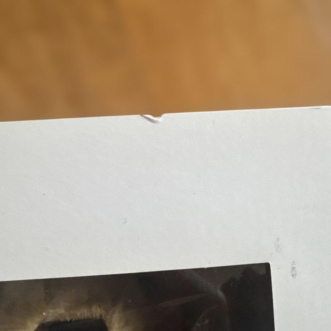 Girls Don't Cry × Steiff Teddy Bear