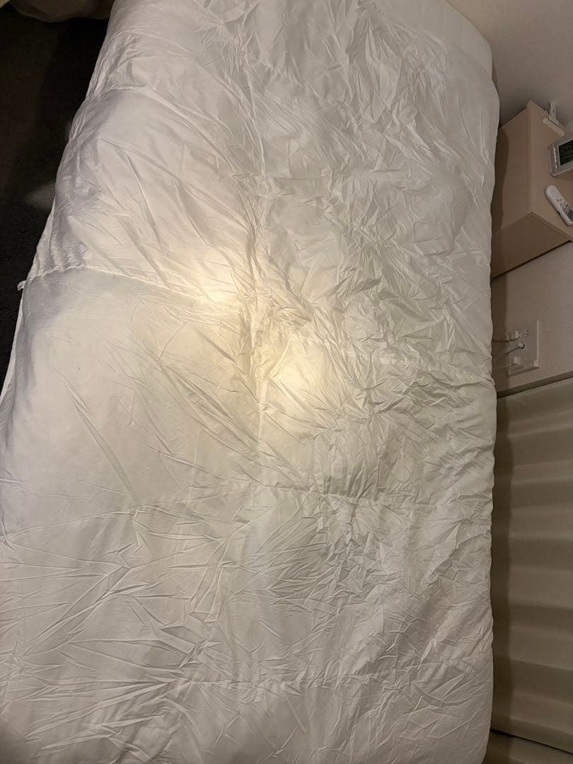 ニトリ　N-sleep Standard 羽毛掛け布団シングル