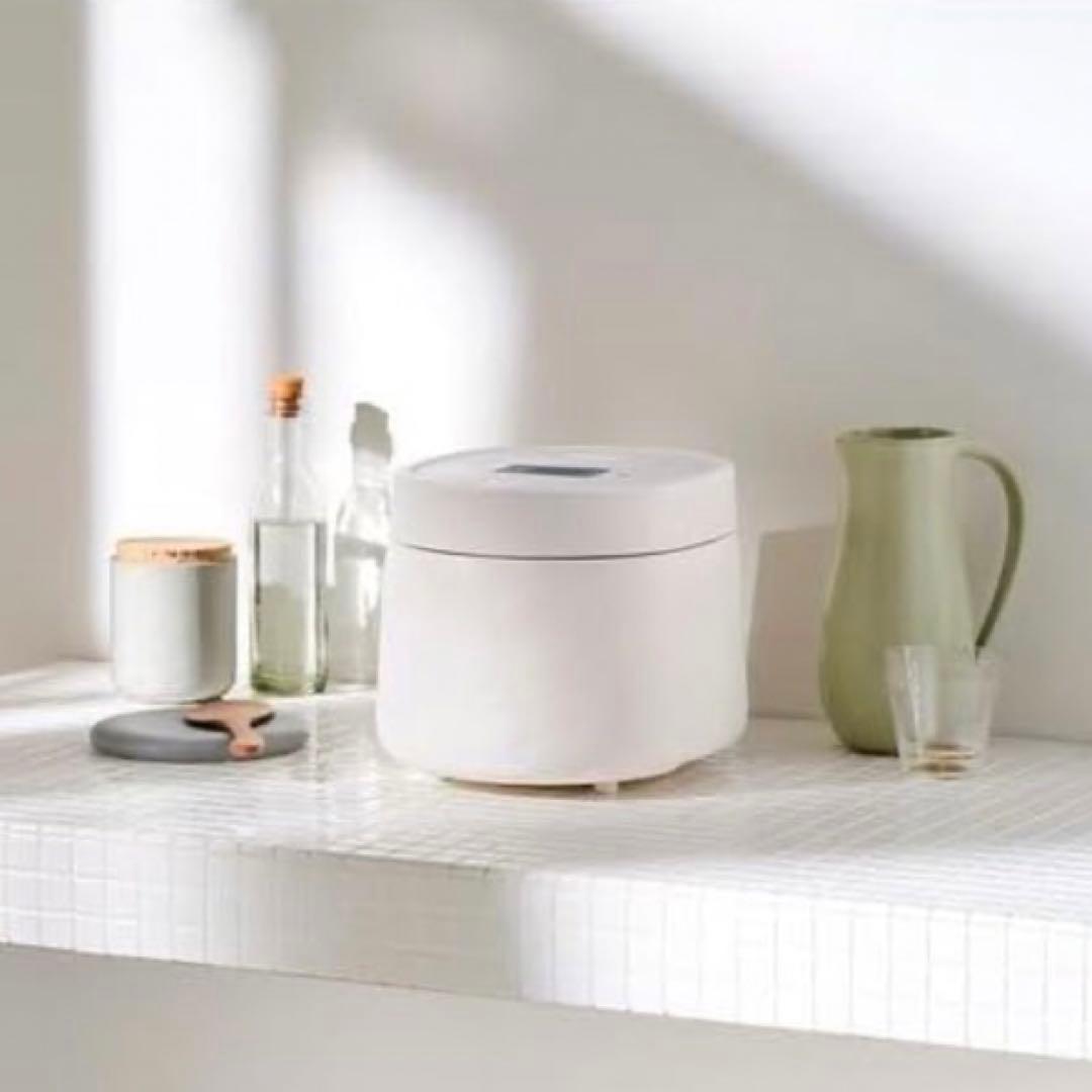 アイリスオーヤマ 炊飯器 5.5合 マイコン式 RC-MSA50-W ホワイト