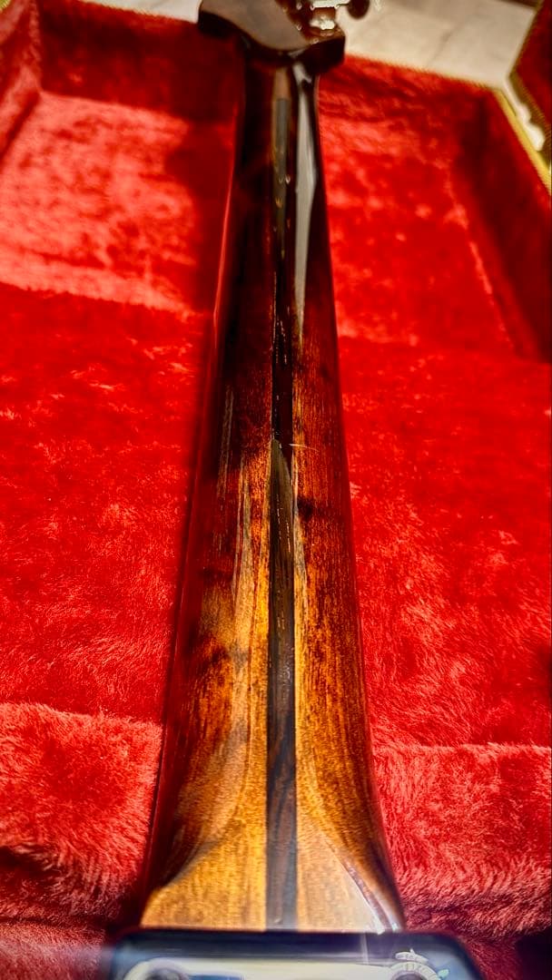 【GATOR ハードケース付】ストラトタイプギター