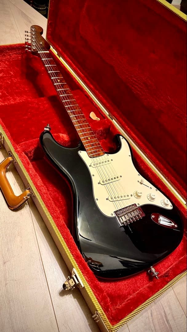 【GATOR ハードケース付】ストラトタイプギター