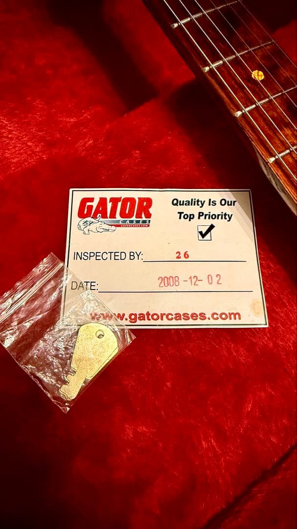 【GATOR ハードケース付】ストラトタイプギター