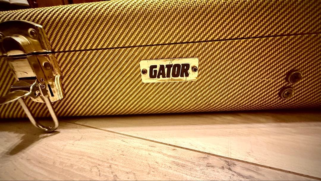 【GATOR ハードケース付】ストラトタイプギター