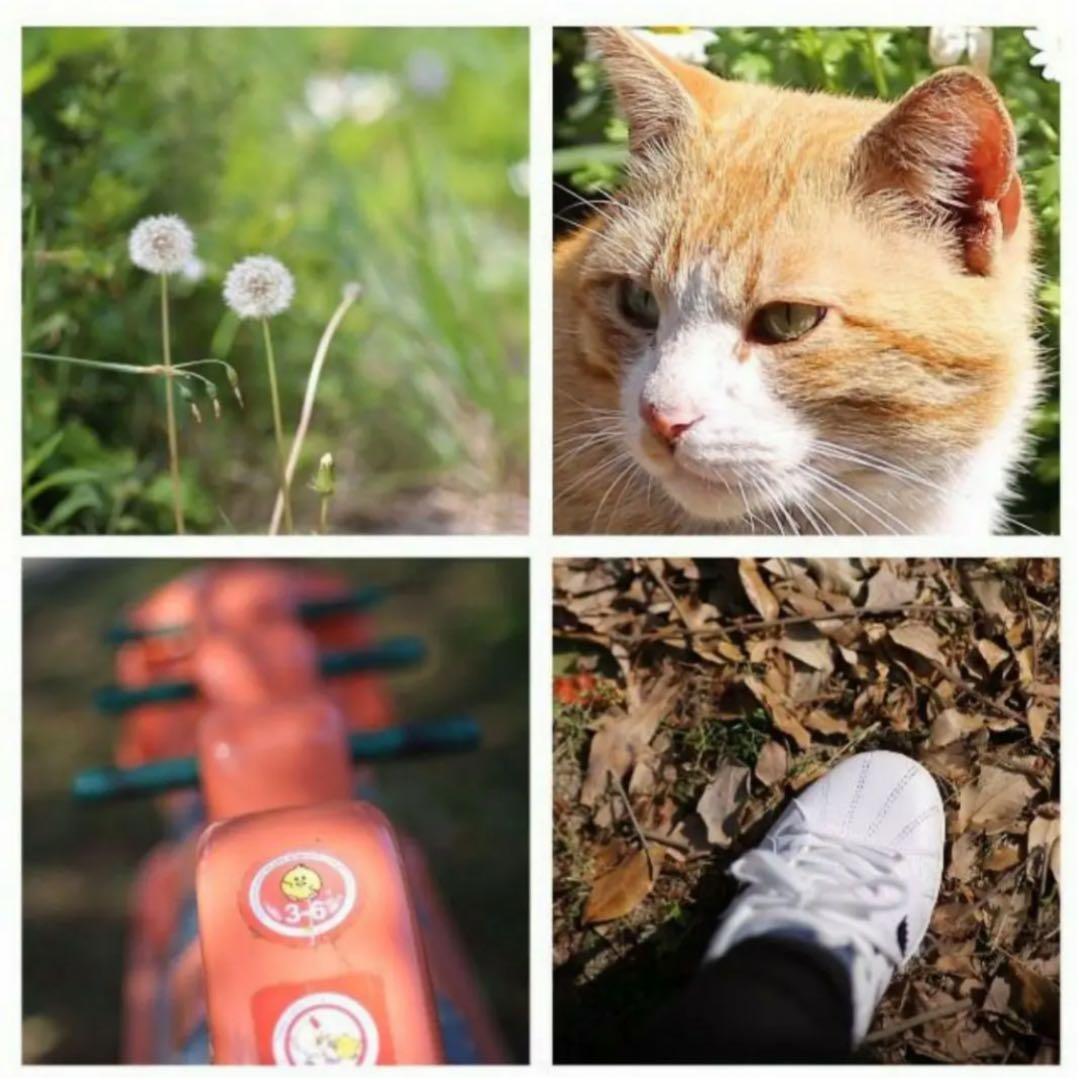 85mm F1.8 単焦点レンズ Canon一眼レフ対応！初心者サードパーティ製