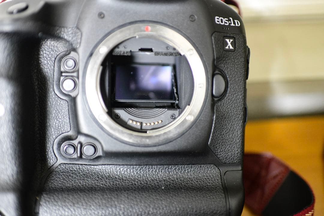 o*6様 [完全動作、131000回]Canon EOS 1DX 完全動作品、付