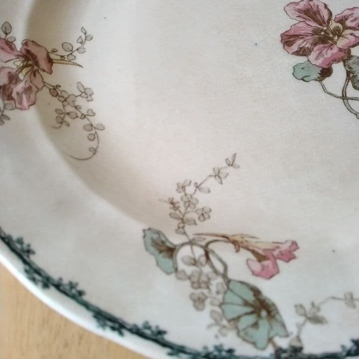 フランスアンティーク　ショワジールロワ　ディナー皿