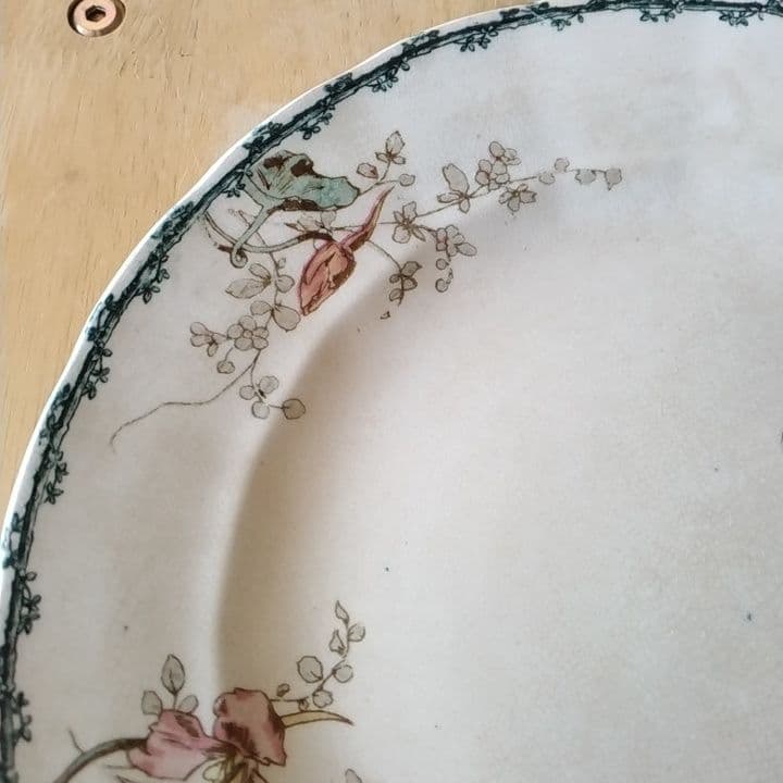 フランスアンティーク　ショワジールロワ　ディナー皿