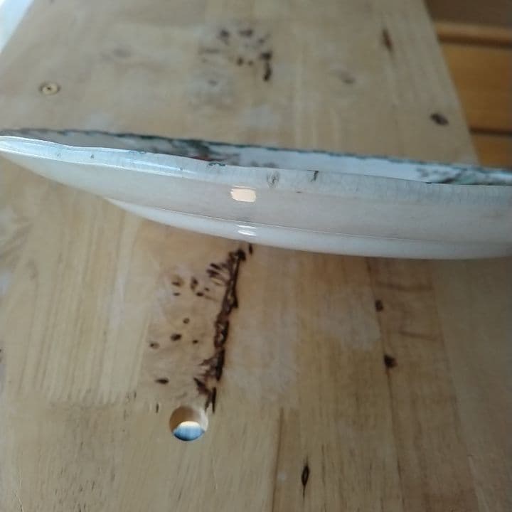 フランスアンティーク　ショワジールロワ　ディナー皿