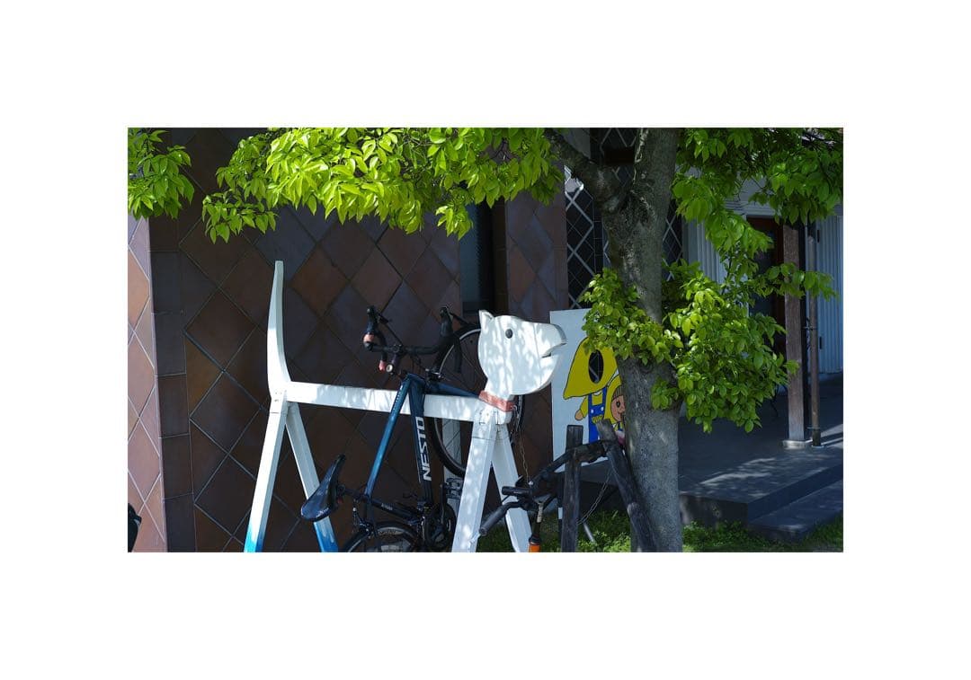 COLOR-SKOPAR 35mm F2.5 単焦点レンズ