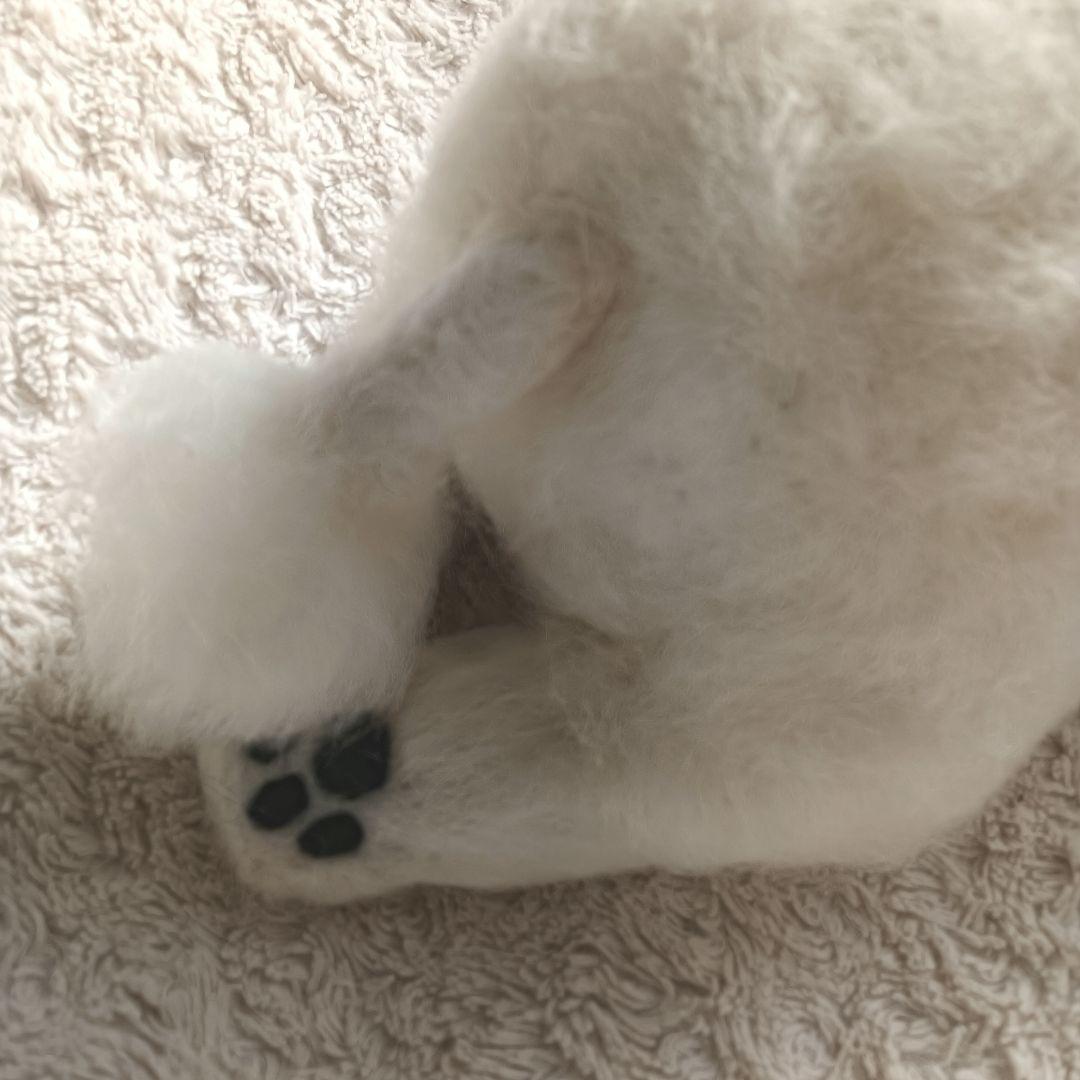 羊毛フェルト　ぬぼっとまったりペキニーズなでなで待ち作品