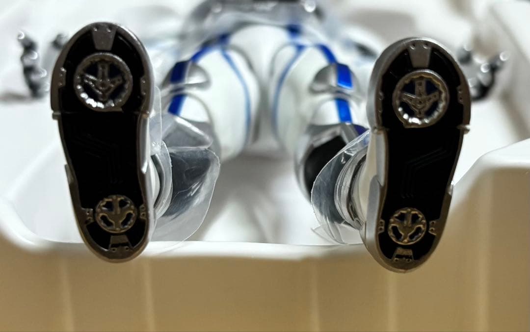 【本体良個体】フィギュアーツ真骨彫製法　仮面ライダーサイガ　輸送箱伝票無