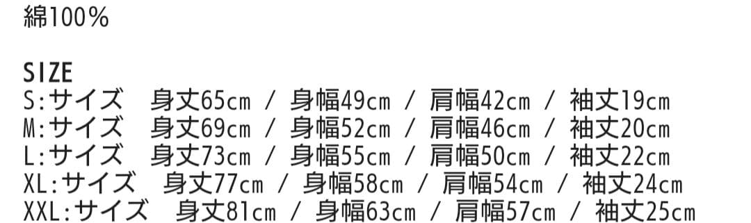 Hi-STANDARD XL Tシャツ 2枚セット