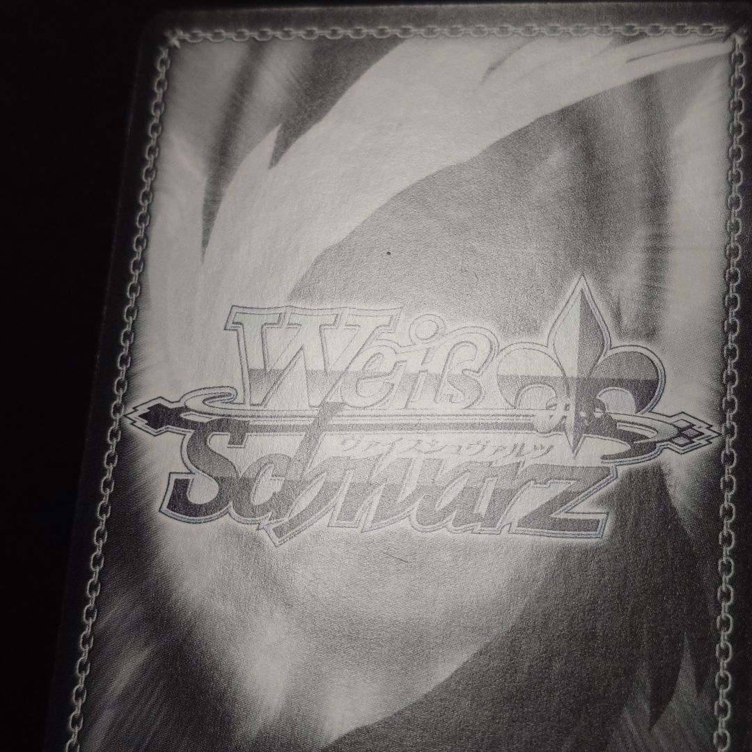 竜宮寺へようこそ♪ 宮下愛 SSP