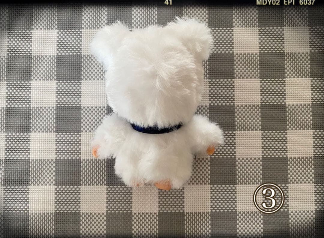 ③ベビちっちのおともだち♡クマのまーたん