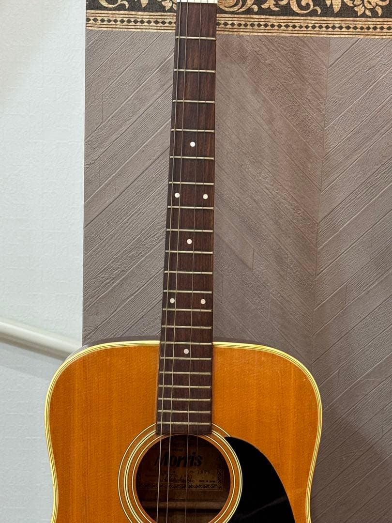 Morris W-18 (1975年)