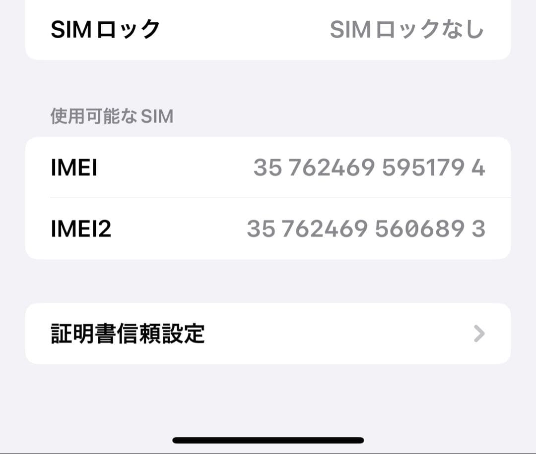 iPhone 13 Pro max シエラブルー 128G デモ機