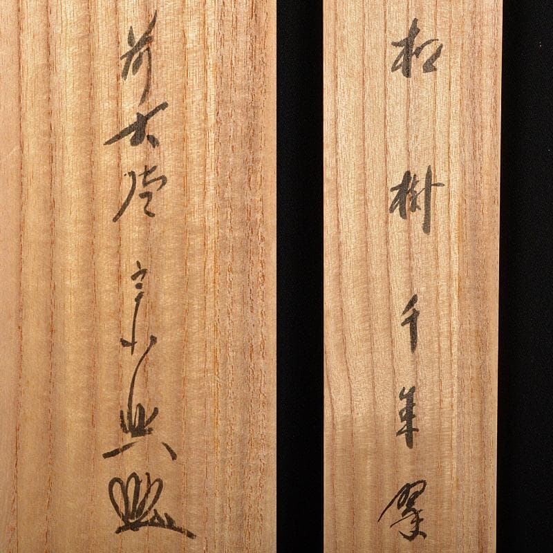 掛軸　前大徳　極楽寺主　西垣宗興　「松寿千手翠」　若松画　共箱　V　R5930B