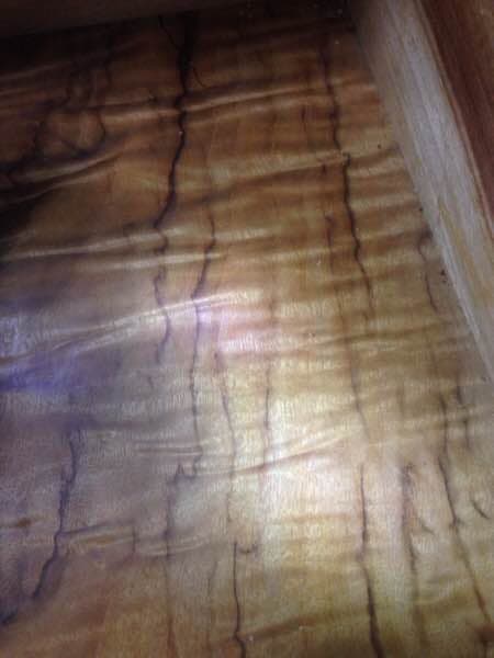 金絲楠木 書箱 天然木 清時代