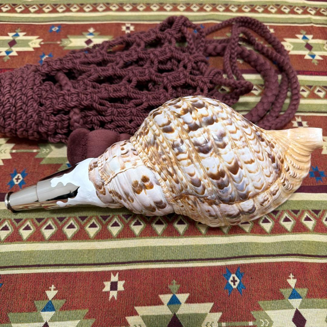 法螺貝、網袋セット