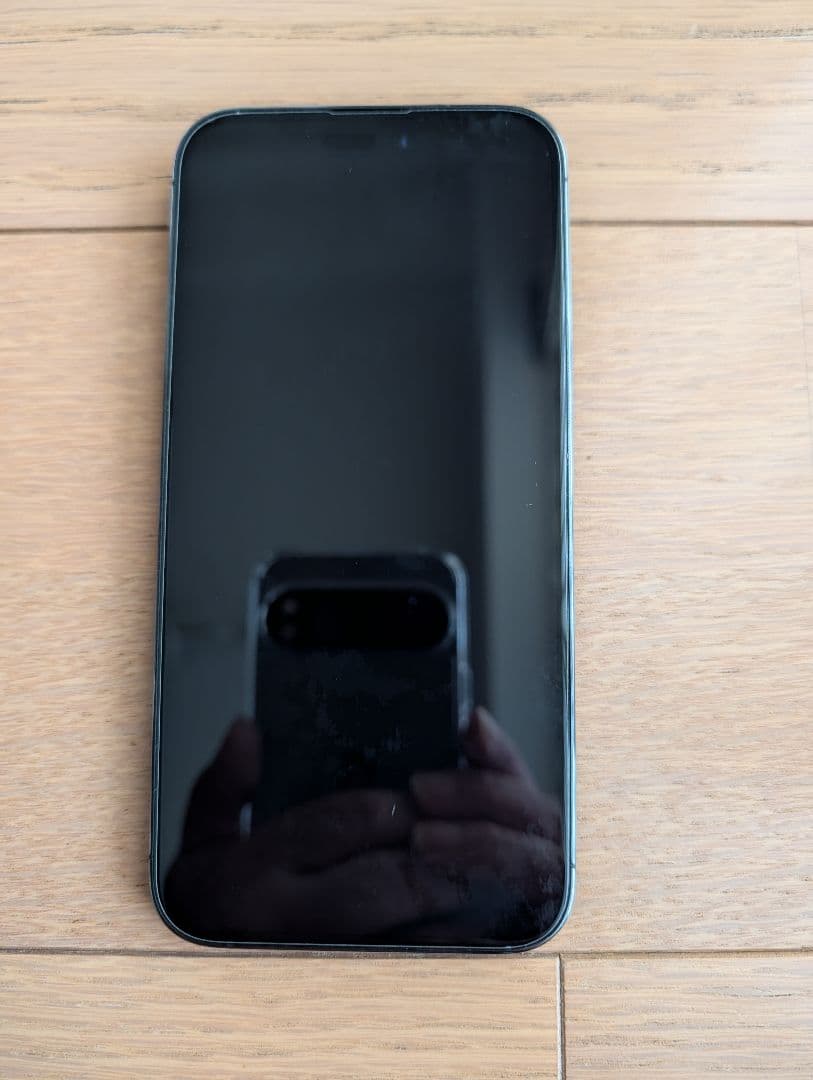 iPhone14 Pro Max ケース等Apple純正アクセサリー付