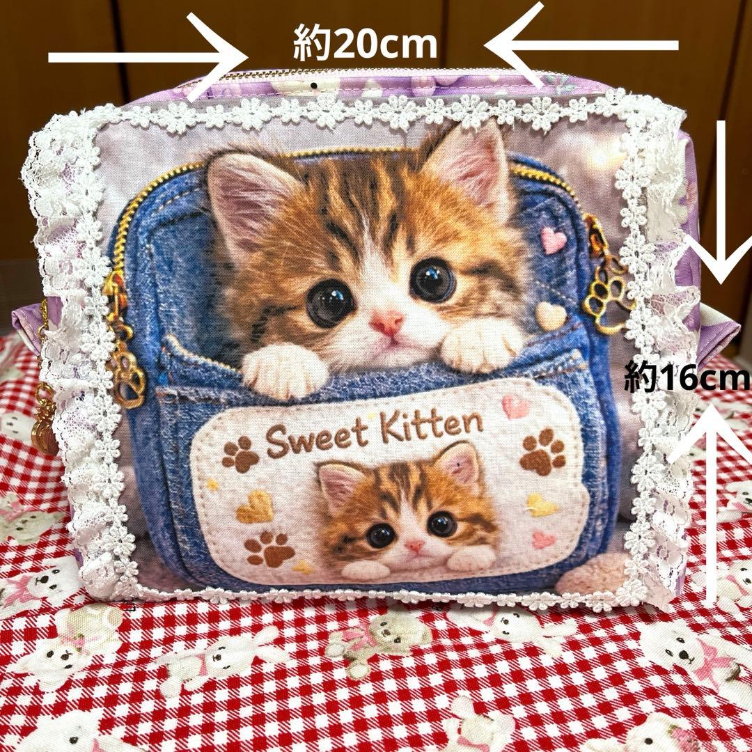 ⑪ えりにゃん ボックスポーチ