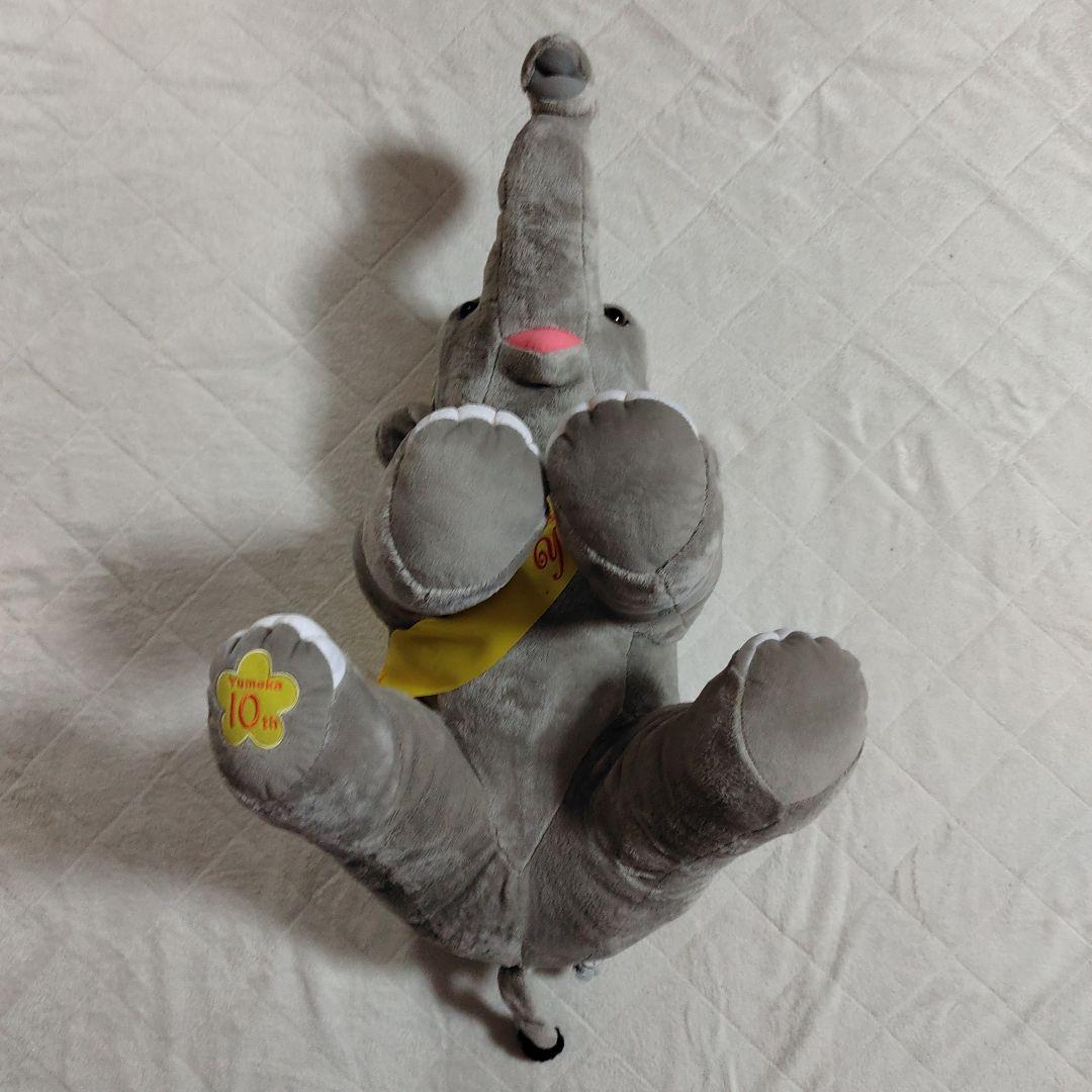 市原ぞうの国限定 ゆめ花 10才記念 特大ぬいぐるみ (カロラータ製)