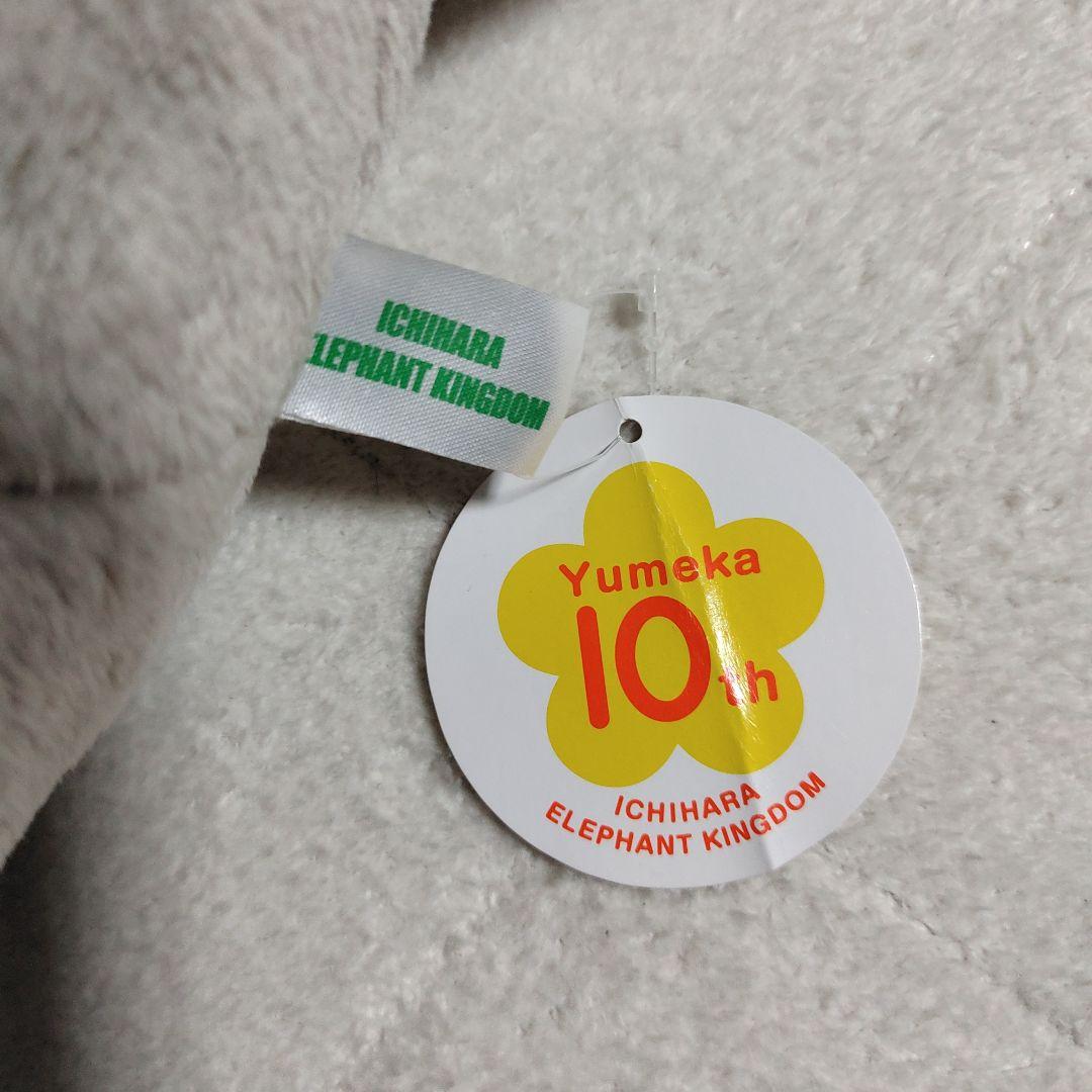 市原ぞうの国限定 ゆめ花 10才記念 特大ぬいぐるみ (カロラータ製)