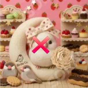 シマエナガ、インコ、オカメインコ、文鳥パネル生地　ハンドメイド