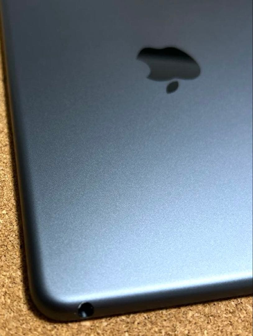 iPad本体 Apple iPad mini5 64GB (70) 89%