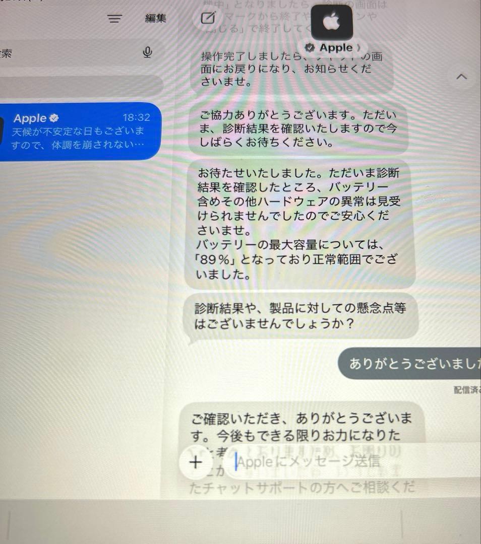 iPad本体 Apple iPad mini5 64GB (70) 89%