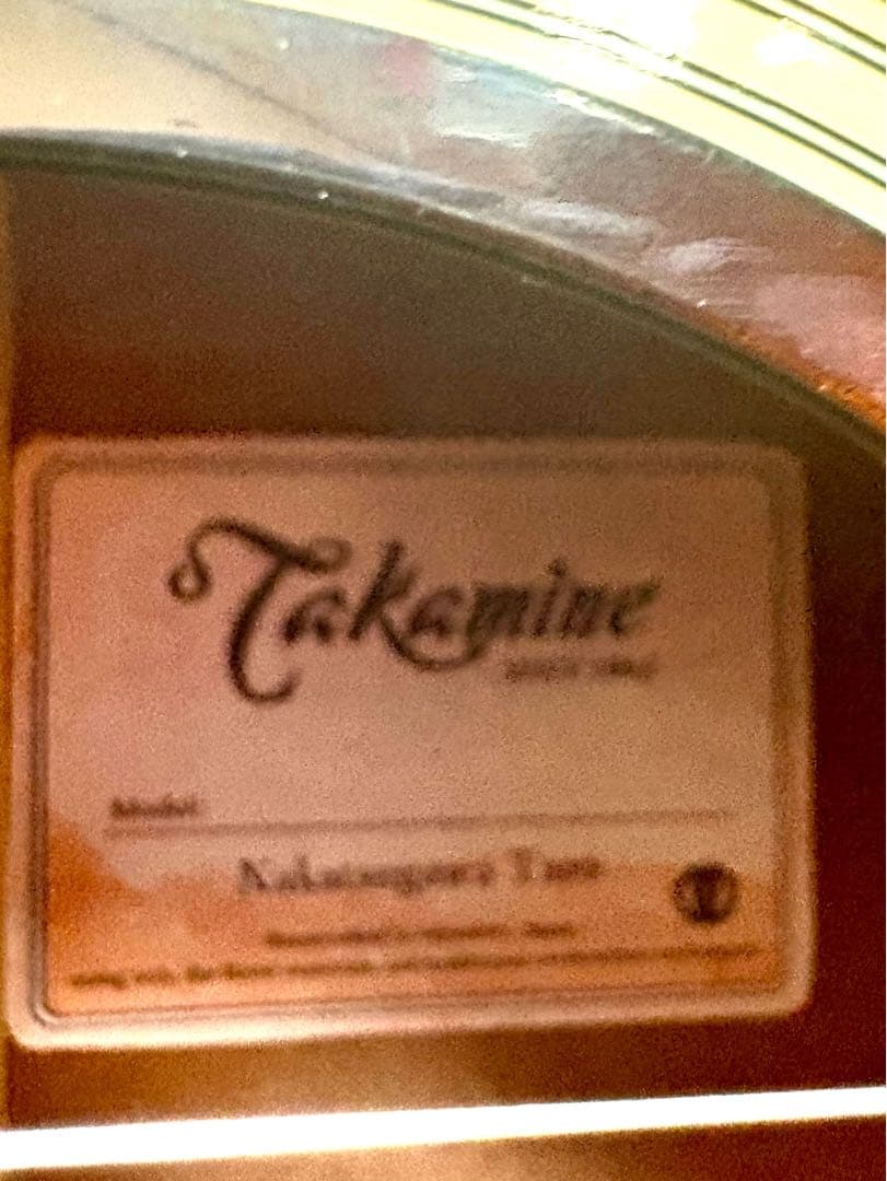 Takamine アコースティックギター　※お値下げ交渉可
